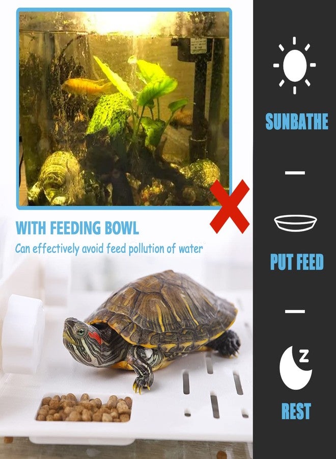 SHIGATSU Medium Turtle Resting Platform for Aquarium Fish Tank 2 in 1 Climbing Ladder Terrarium with Suction Cup for Small Pets Sun Bathing Resting Play - Image 4